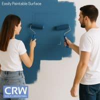 CRW Plastic Access Panel White Paintable- 100mm x 150mm