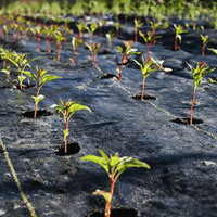 High-Quality Weed Protection Fabric | Durable and UV-Resistant Garden Weed Control